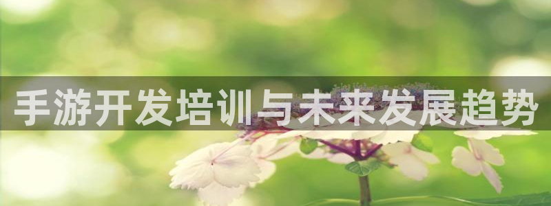 V8娱乐