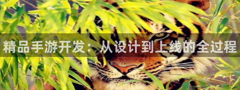 V8娱乐官网：精品手游开发：从设计到上线的全过程