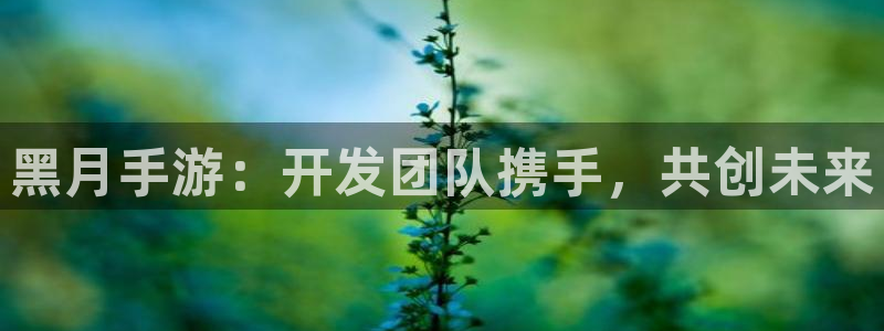 V8娱乐登录：黑月手游：开发团队携手，共创未来
