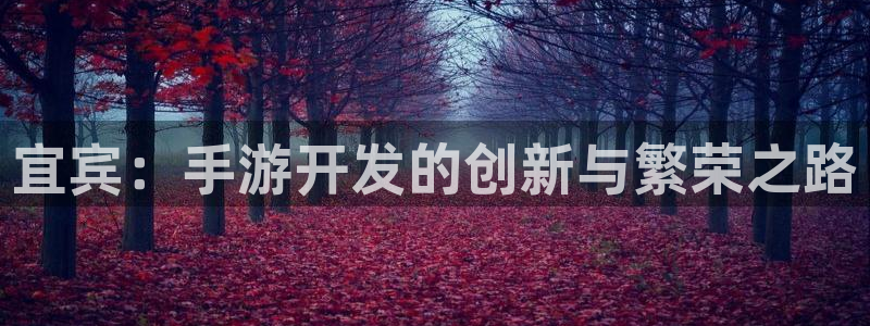 V8娱乐网：宜宾：手游开发的创新与繁荣之路