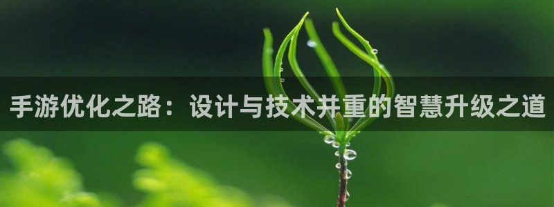 V8娱乐官网：手游优化之路：设计与技术并重的智慧升级之道