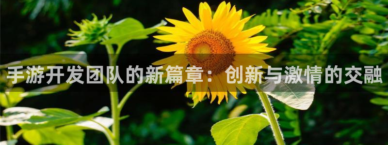 V8娱乐登录：手游开发团队的新篇章：创新与激情的交融