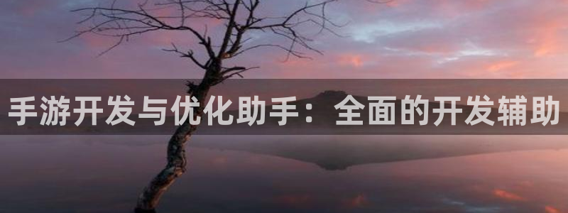 V8娱乐登录：手游开发与优化助手：全面的开发辅助