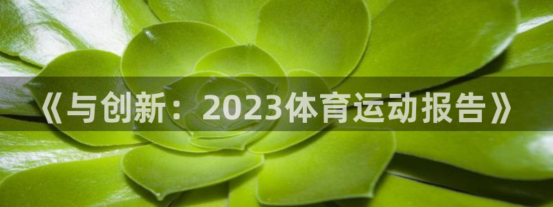 球王会体育