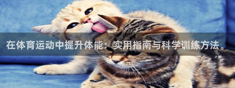 球王会体育