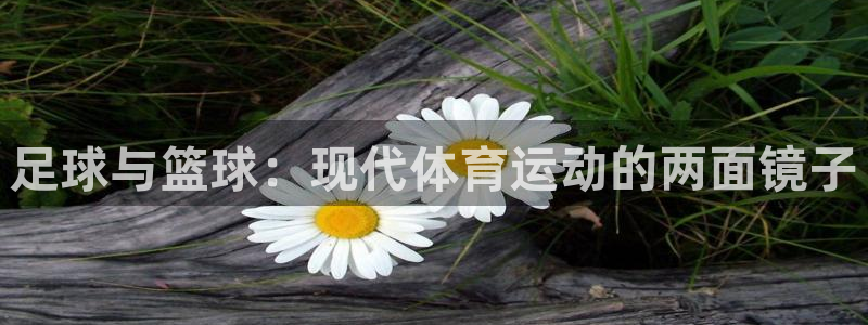 球王会体育：足球与篮球：现代体育运动的两面镜子