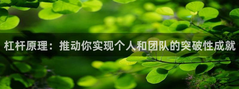 球王会体育：杠杆原理：推动你实现个人和团队的突破性成就