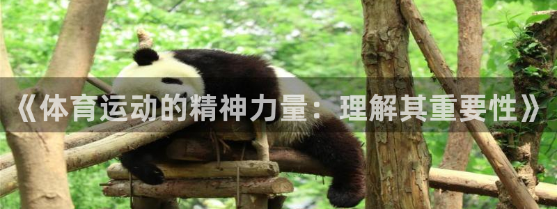球王会体育：《体育运动的精神力量：理解其重要性》