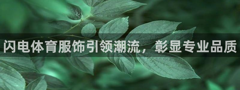 球王会体育：闪电体育服饰引领潮流，彰显专业品质