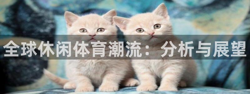 球王会体育：全球休闲体育潮流：分析与展望